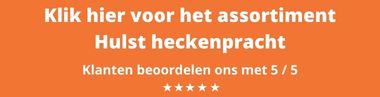 https://www.gardline.nl/35-hulst-ilex-heckenpracht-kopen